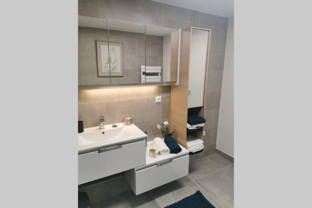דירות שטרסבורג Magnifique F3, 75M² Avec Parking Prive Et Terrasse מראה חיצוני תמונה